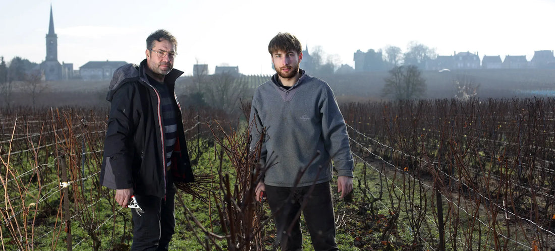 Discover the Art of Grower Champagne: Introducing Agrapart & Fils - Steves