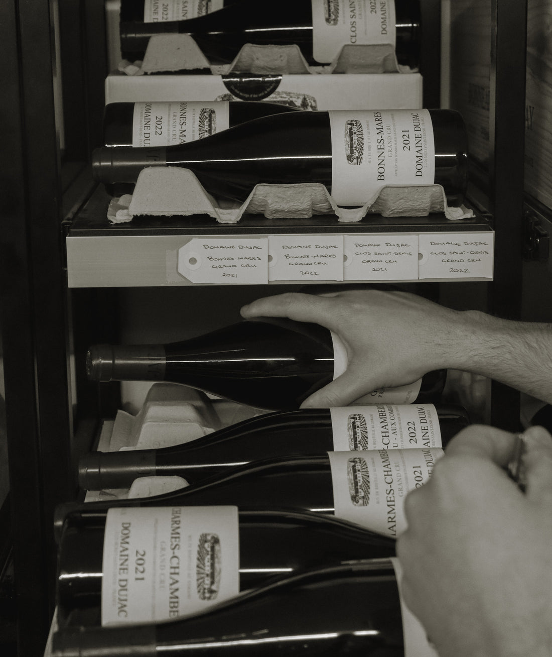 Domaine Dujac Wines in Australia: A Complete Guide to the Collection at Steves Winestore