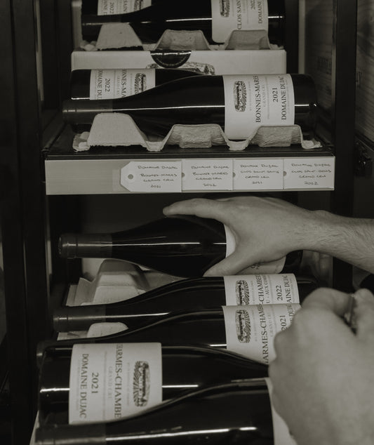 Domaine Dujac Wines in Australia: A Complete Guide to the Collection at Steves Winestore