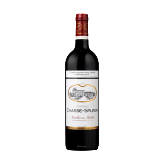 Chateau Chasse-Spleen, Moulis en Médoc 2020 - Steves